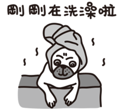 Mr.Pug , Stop nagging 2 (Chinese) sticker #11374333