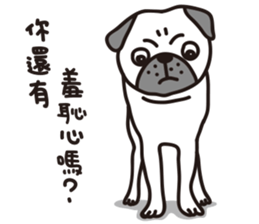 Mr.Pug , Stop nagging 2 (Chinese) sticker #11374334