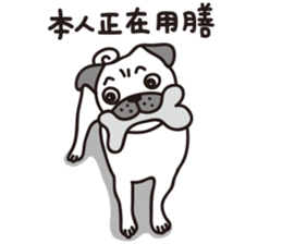 Mr.Pug , Stop nagging 2 (Chinese) sticker #11374336