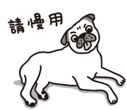 Mr.Pug , Stop nagging 2 (Chinese) sticker #11374337