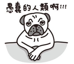 Mr.Pug , Stop nagging 2 (Chinese) sticker #11374338