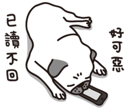 Mr.Pug , Stop nagging 2 (Chinese) sticker #11374343