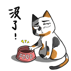 Chi-Mo The Poet of Heart