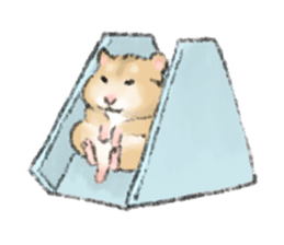 Hamsters Dialog sticker #11379188