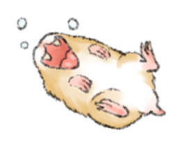 Hamsters Dialog sticker #11379193