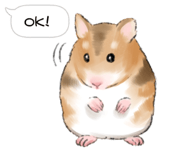 Hamsters Dialog sticker #11379200