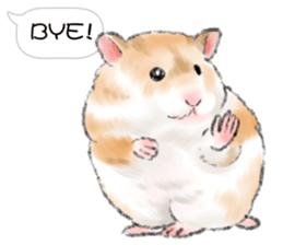 Hamsters Dialog sticker #11379203