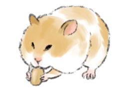 Hamsters Dialog sticker #11379205