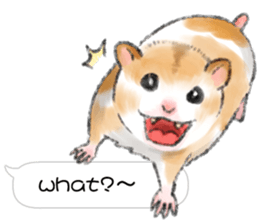 Hamsters Dialog sticker #11379207