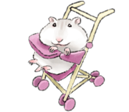 Hamsters Dialog sticker #11379212