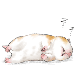 Hamsters Dialog sticker #11379213