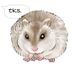 Hamsters Dialog sticker #11379214
