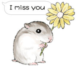 Hamsters Dialog sticker #11379220