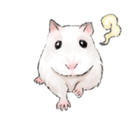Hamsters Dialog sticker #11379223