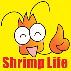 Shrimp Life