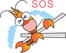 Shrimp Life sticker #11379499