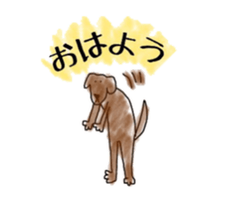 LabradorRetriver Yellow&Brown Edition sticker #11379985