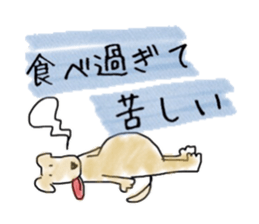 LabradorRetriver Yellow&Brown Edition sticker #11379991