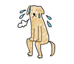 LabradorRetriver Yellow&Brown Edition sticker #11380014