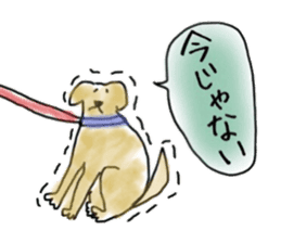 LabradorRetriver Yellow&Brown Edition sticker #11380016