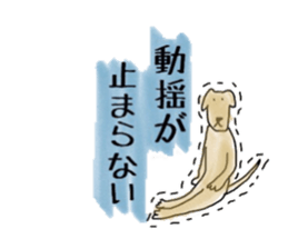 LabradorRetriver Yellow&Brown Edition sticker #11380017