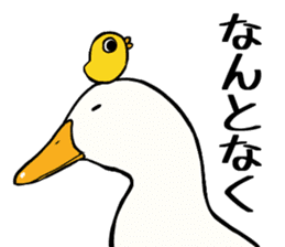 Mr. duck & Chick sticker part1 sticker #11380509