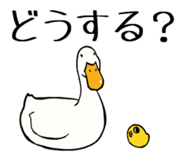 Mr. duck & Chick sticker part1 sticker #11380515