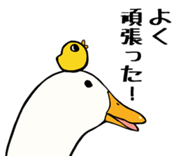 Mr. duck & Chick sticker part1 sticker #11380520