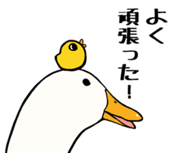 Mr. duck & Chick sticker part1 sticker #11380520
