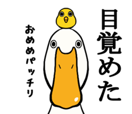 Mr. duck & Chick sticker part1 sticker #11380531