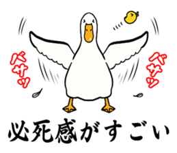 Mr. duck & Chick sticker part1 sticker #11380539