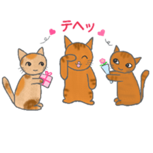 He is the chef of Yakinikuya sticker #11381488