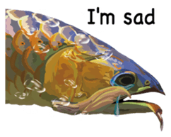 Arowana English version sticker #11383427