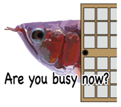 Arowana English version sticker #11383430