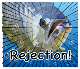 Arowana English version sticker #11383434