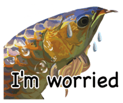 Arowana English version sticker #11383435