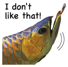 Arowana English version sticker #11383436