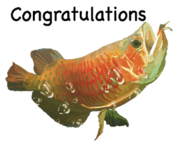 Arowana English version sticker #11383437