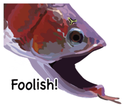 Arowana English version sticker #11383438