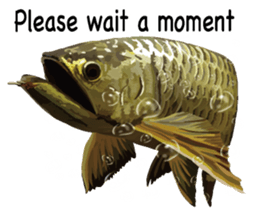 Arowana English version sticker #11383439