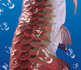 Arowana English version sticker #11383456