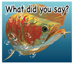 Arowana English version sticker #11383458