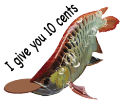 Arowana English version sticker #11383459