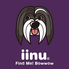 iinu - Havanese