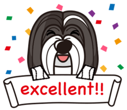 iinu - Havanese sticker #11384818