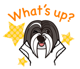 iinu - Havanese sticker #11384824