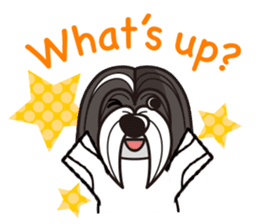 iinu - Havanese sticker #11384824