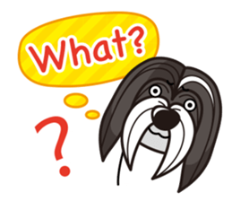 iinu - Havanese sticker #11384826