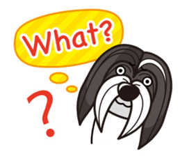 iinu - Havanese sticker #11384826