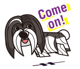 iinu - Havanese sticker #11384828